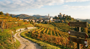 Sabato 10 gennaio 2026: Camminata lungo il Sentiero delle "Vigne Alte"